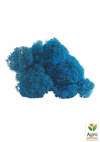 Норвежский мох стабилизированный "Синий" 500 г