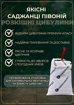 Півонія трав'яниста "Snow Supreme" 1шт в упаковці17