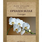 Орхидея белая "Конкордия" ТМ "Vesna Exсlusivе" 10шт купить