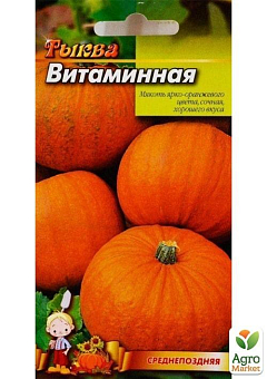 Тыква "Витаминная" ТМ "Весна" 2г10