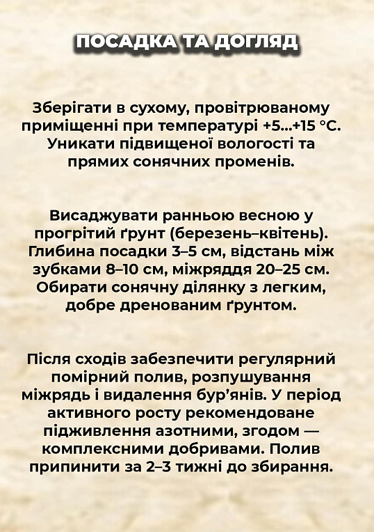 Ексклюзив! Часник посадковий (головка) "Ірен" 0.5кг - фото 2