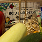 Биг-набор овощей "Желтая грядка" "Богатый фермер" (в коробке) ТМ "Весна" 60уп