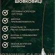 Шелковица "Галиция" (летний сорт, средний срок созревания) купить
