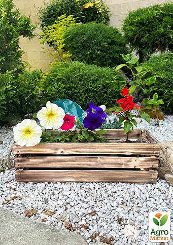 Ящик дерев'яний для зберігання декору та квітів "Франческа" довжина 44см, ширина 17см, висота 13см. (обпалений з ручками)