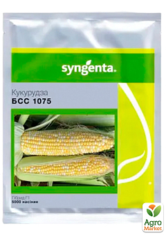 Кукуруза "БСС 1075 F1" ТМ "Syngenta" 5000шт6