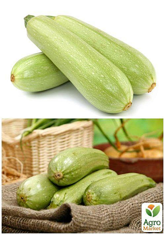 На развес Кабачок "Дядя Степа" ТМ "Весна" цена за 8г - фото 3