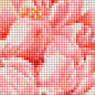 Алмазная мозаика - Букет розовых пион  Идейка AMO7274 цена