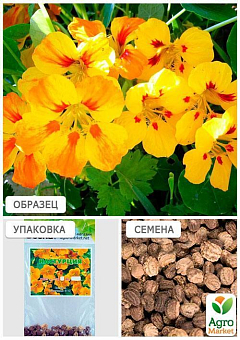 Настурція жовта (Зипер) ТМ "Весна" 2г27