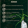 Юкка нитчата  купить
