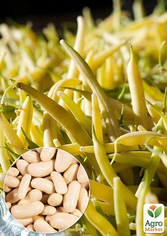 На развес Фасоль "Масляный король" ТМ "Весна" цена за 15г