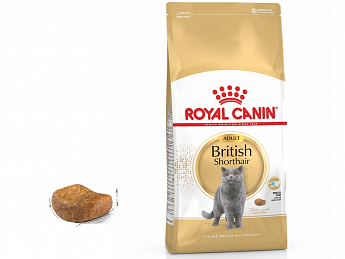 Royal Canin British Shorthair Сухой корм для взрослых кошек породы британская короткошерстная 2 кг (7564190)