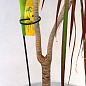 Опора для рослин ТМ "ORANGERIE" тип G (зелений колір, висота 1500 мм, кільце 80 мм, діаметр дроту 8 мм) цена