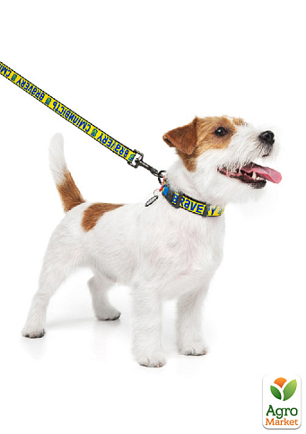 Ошейник для собак нейлоновый WAUDOG Nylon с QR паспортом, рисунок "Смелость", пластиковый фастекс, M, Ш 20 мм, Д 28-40 см (4502-0231) - фото 2