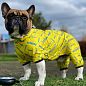 Ветровка для собак WAUDOG Clothes, рисунок "Смелость", M45, 55-60 см, С 37-40 см (5345-0231) купить