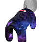 Комбинезон для собак WAUDOG Clothes рисунок  "NASA21", XS30, В 40-43 см, С 27-30 см (5430-0148)  купить