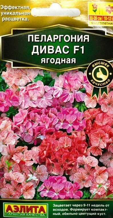 Пеларгонія "Дівас F1" ягідна ТМ "АЕЛІТА" 3шт