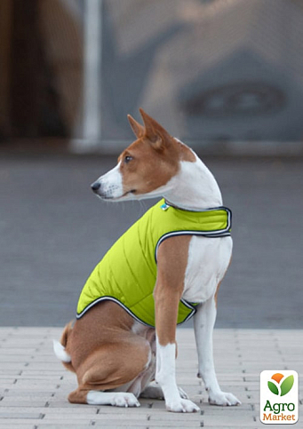 Куртка-накидка для собак AiryVest, M, B 52-62 см, С 37-46 см салатовий (15435) - фото 4