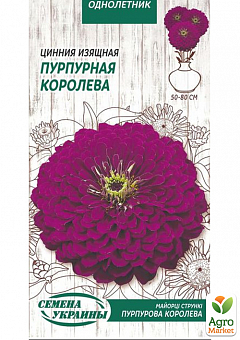 Цинния "Пурпурная королева" ТМ "Семена Украины" 0.5г1