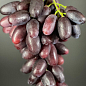 Виноград "Каталония" (очень ранний сорт, ягода плотная, хрустящая, с освежающим пикантным вкусом) цена