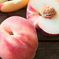 Персик "Манон" (летний сорт, средний срок созревания)