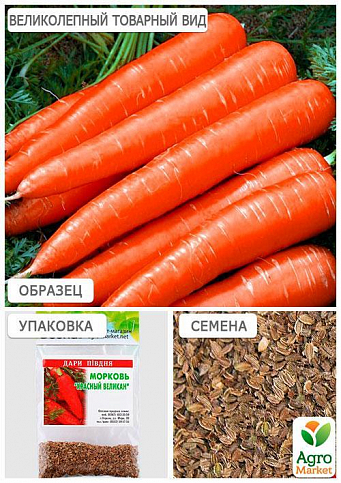 Морква "Червоний велетень" (Зипер) ТМ "Весна" 5г - фото 2