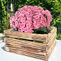 Ящик дерев'яний для зберігання декору та квітів "Прованс" довжина 25см, ширина 27см, висота 13см. (обпалений)