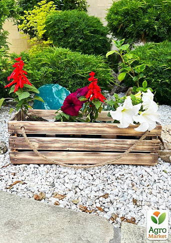 Ящик дерев'яний для зберігання декору та квітів "Франческа" довжина 4см, ширина 17см, висота 13см. (обпалений з великими ручками) - фото 2