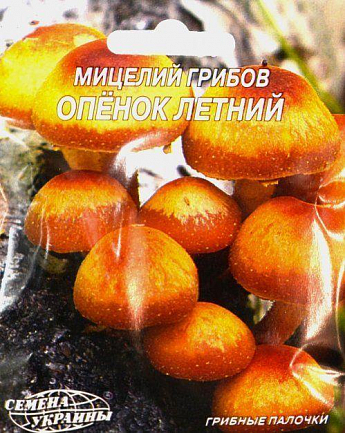 Опенок Летний ТМ "Семена Украины" 10шт