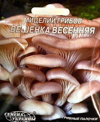 Вёшенка "Весенняя" ТМ "Семена Украины" 10шт