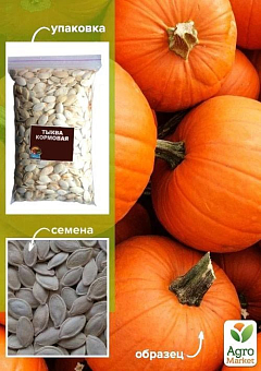 Гарбуз "Кормовий" ТМ "Весна" 500г18