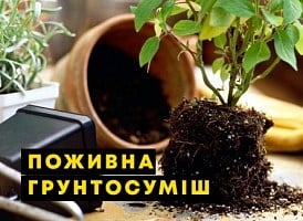 Поживна грунтосуміш для кімнатних квітів своїми руками - корисні статті про садівництво від Agro-Market