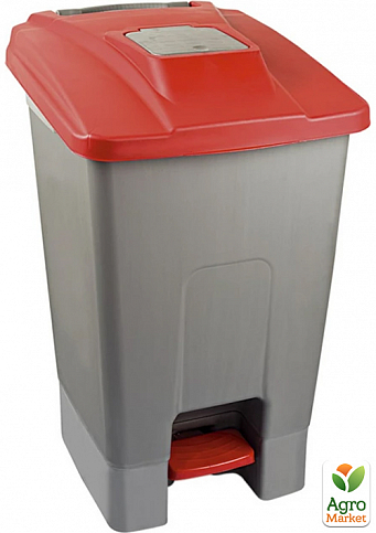 Бак для мусора с педалью Planet 100 л серо-красный (6822)