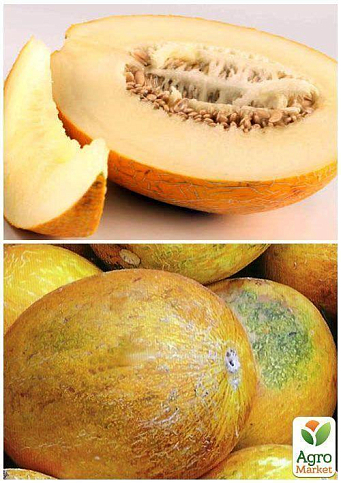 На развес Дыня "Сладкоежка" ТМ "Весна" цена за 6г - фото 4