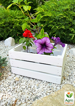 Ящик декоративный деревянный для хранения и цветов "Бланш" д. 25см, ш. 17см, в. 13см. (белый)1