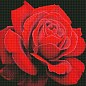 Алмазная мозаика - Красная роза  Идейка AMO7634