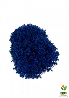 Стабілізований мох Ягель "Синій" 500 г1