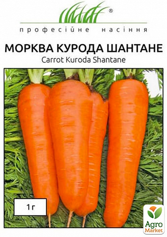 Морква "Курода Шантане" ТМ "Hem Zaden" 1г