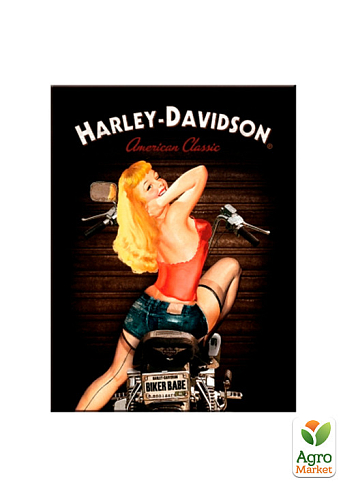 Магнит 8x6 см "Harley-Davidson Biker Babe" Nostalgic Art (14333)