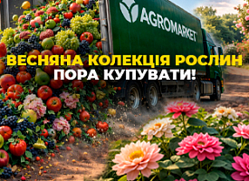 Назустріч врожаю!