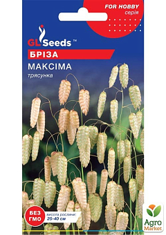 Бріза "Максима" ТМ "GL Seeds" 0.25г1