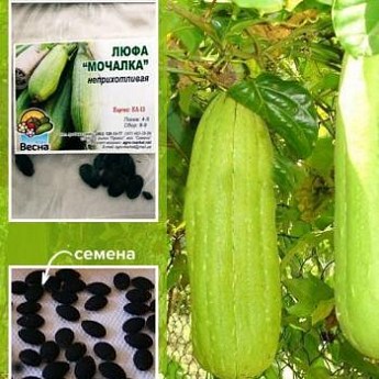 Люффа "Мочалка" (Зипер) ТМ "Весна" 1г купити поштою в Одесі, Києві ...