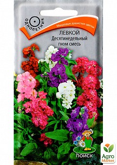 Левкой "Десятинедельный гном смесь" ТМ "Поиск" 0.3г NEW26