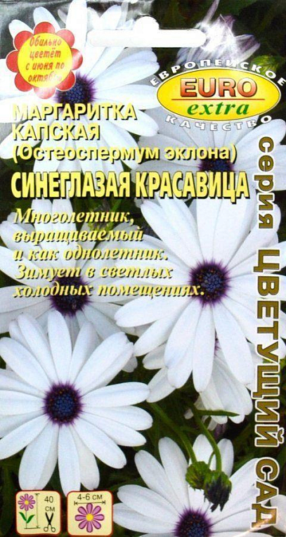 Маргаритка капская (Остеоспермум еклона) "Синьоока красуня" ТМ "АЕЛІТА" 0.1г