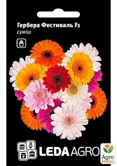 Гербера "Фестиваль F1" смесь ТМ "Leda Agro" 4шт1
