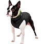 Курточка для собак AiryVest двухсторонняя, размер XS 25, салатово-черная (1668)  купить