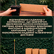 Фисташка "Альбина"  (средний срок созревания) цена