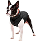 Курточка для собак AiryVest двостороння, розмір XS 25, червоно-чорна (1569) купить