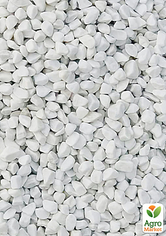 Декоративне каміння Галька біла "Доломіт" фракция 20-40 мм 2 кг2