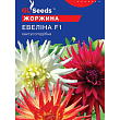 Георгина кактусовидная "Эвелина F1" ТМ "GL Seeds" 0.25г