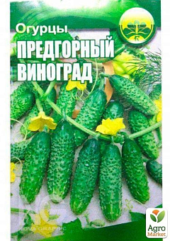 Огірок "Передгірний виноград" ТМ "Весна" 0.5г12